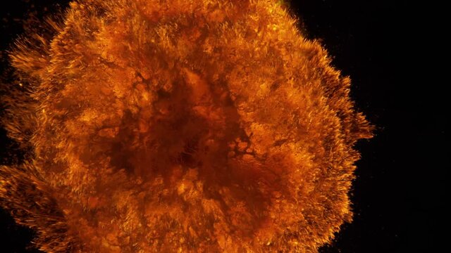 Colorful explosion in slow motion. Bright colors and fiery color transitions during the blast wave. This video can be used as a background for a colorful presentation or video design of any topic