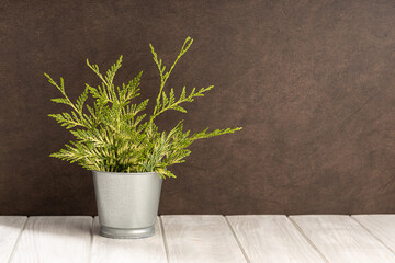 Empty white wooden table with green plant pot and brown textured wall background. Copy space