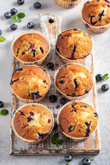 Homemade vegan blueberry muffins on white background.