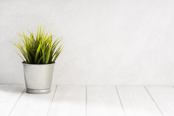 Empty white wooden table with green plant pot and white concrete wall texture background. Copy space, display montage for product