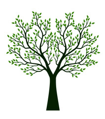 Shape of green Tree. Vector outline Illustration. Plant in Garden.