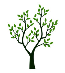 Shape of green Tree. Vector outline Illustration. Plant in Garden.