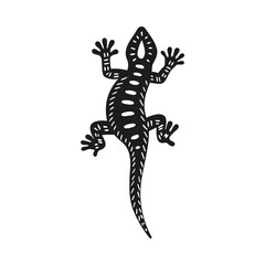 Salamander or Gecko lizard black icon vector illustration isolated on white.