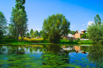 Obraz premium A house inhabited by local people. Green trees on the shore of the lake. View of Dal Lake in Srinagar, Kashmir State, India. June 2018