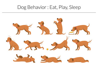 Dog Behavior Set, Eat, Play, Sleep Concept - 444739107