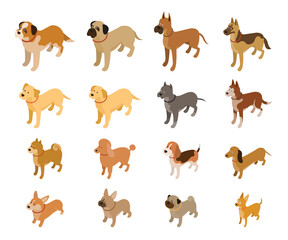 Various Dog Breeds Isometric Set