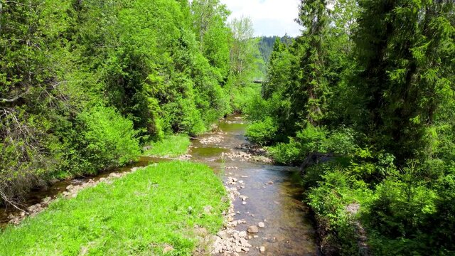 Creek called Czarna Wiselka. Source creek of the Vistula River.