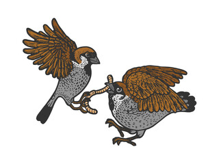 birds fight for the worm color line art sketch engraving vector illustration. T-shirt apparel print design. Scratch board imitation. Black and white hand drawn image.