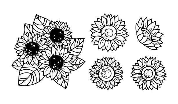 Sunflowers isolated clipart, Black and white floral decorative elements, line wildflower and leaves, botanical design items, bouquete with sunflowers - vector illustration bundle