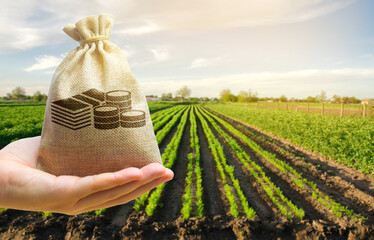 Farmer holding a money bag on the background of carrot plantations. Agricultural startups. Lending...