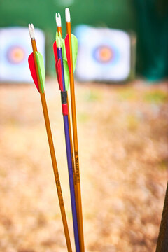 Close up of plastic arrows in a quiver with targets in the background