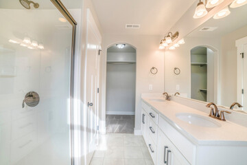 Interior of a white bathroom with shower with glass wall, sink and empty closet