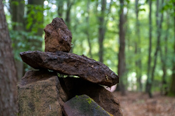 Steine im Wald