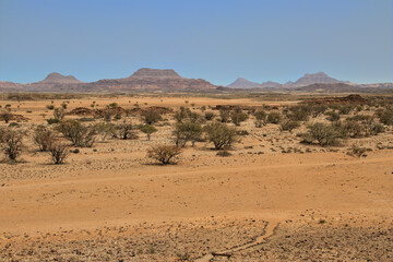 view of african savanna and and mountain range in the distance, damaraland in northern namibia