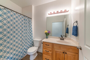 Naklejka na ściany i meble Bathroom with wooden vanity sink with flower vase and mirror