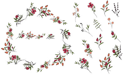 Decorative wreath of bouquets and elements of flowers and plants in doodle style. Hand drawing. Isolated object on a white background.