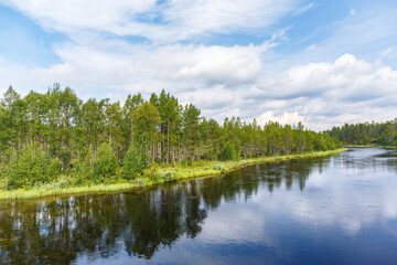 Fototapeta na wymiar River at a forest in the wilderness