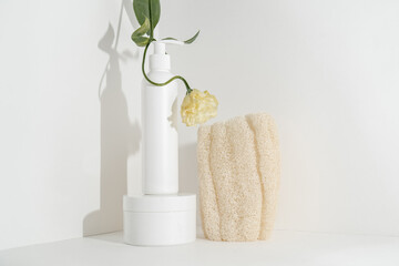 Serum and natural sponges on a light background.