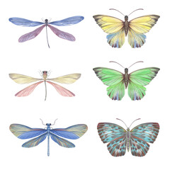 Set of watercolor butterflies and dragonflies. Collection of colorful insects with wings for design, scrapbooking, postcards. Bright butterflies hand-drawn on paper and isolated on a white background