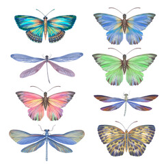 Obraz na płótnie Canvas Set of watercolor butterflies and dragonflies. Collection of colorful insects with wings for design, scrapbooking, postcards. Bright butterflies hand-drawn on paper and isolated on a white background