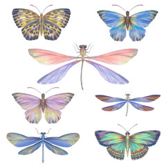 Obraz na płótnie Canvas Set of watercolor butterflies and dragonflies. Collection of colorful insects with wings for design, scrapbooking, postcards. Bright butterflies hand-drawn on paper and isolated on a white background