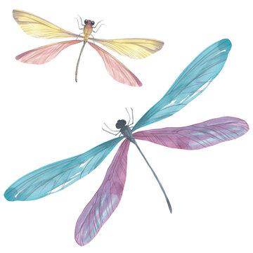 Set of watercolor dragonflies. Collection of colorful insects with wings for design, scrapbooking, postcards. Bright dragonflies hand-drawn on paper and isolated on a white background