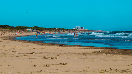 Landscape of the shore of a beautiful beach