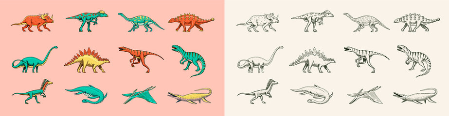 Dinosaurs set, Tyrannosaurus rex, Triceratops, Barosaurus, Diplodocus, Velociraptor Triceratops Stegosaurus. Prehistoric reptiles, Animal. Vintage sketch for t-shirt print. Engraved Hand drawn Animal 
