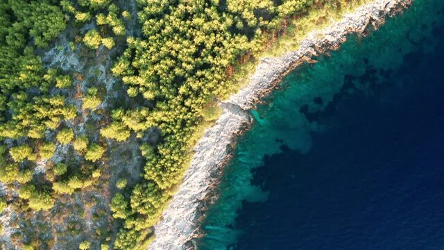 Aerial view of the green shores of the island Korcula at sunset, Croatia