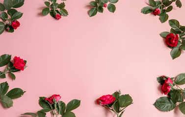 Floral frame made of roses on pink background.