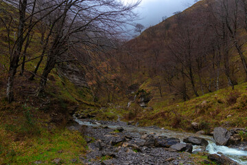 Fototapeta premium canyon of a small river in the province of vizcaya in northern spain on a cloudy day
