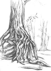 roots  tree in  technique  graphic etude  - 444757966