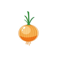 vector onion(Allium cepa) isolated on white background