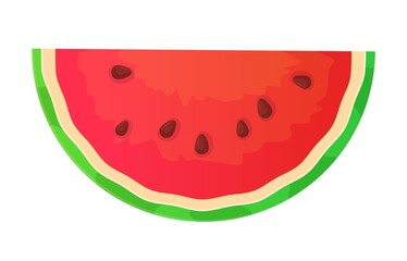 Half watermelon piece. Summer fruit berry, fresh juice, exotic food, tropical dessert concept. Stock vector illustration in realistic cartoon style isolated on white background.