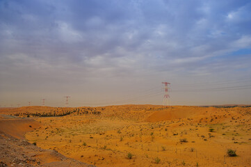 Desert landscape - sand dune - nature background