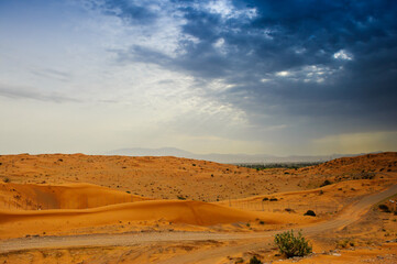 Desert landscape - sand dune - nature background