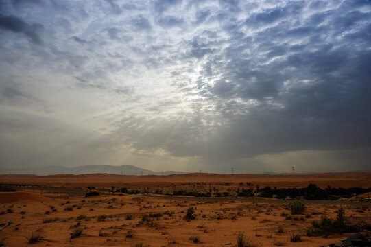Desert landscape - sand dune - nature background