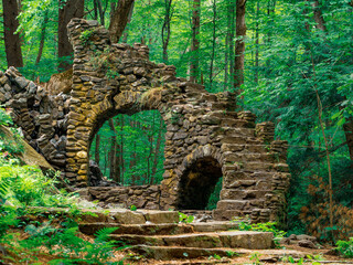 Madame Sherri Forest Castle, Archway destroyed © Peter