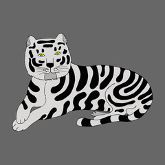 Obraz na płótnie Canvas Funny white tiger. Vector character in cartoon style. hand-drawn in doodle style. Isolated. Coloring pages for children and adults. Can be used in your projects in banners, posters and postcards.