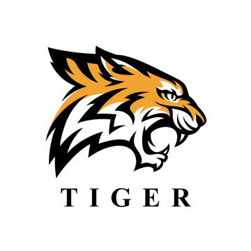 Fierce tiger head logo icon. Wild bengal cat vector illustration. Wildlife animal brand symbol.