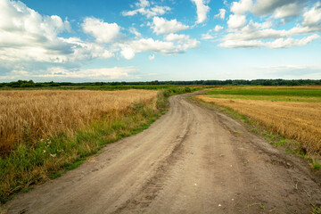 Fototapeta na wymiar Sandy road through farmland and clouds to the sky