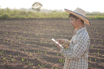 A male Asian farmer using smartphone tablet at corn farm