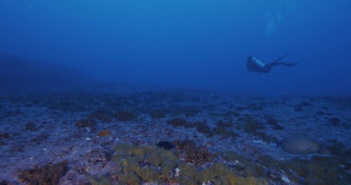 Scuba divers flying across seabed in real time current.