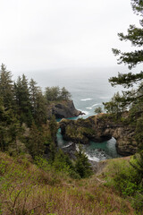 Sea view with coastal forest on rocky coast landscape in Oregon, USA
