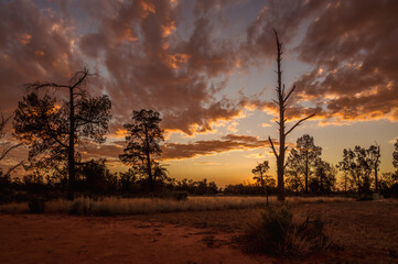 Sunset in the Outback