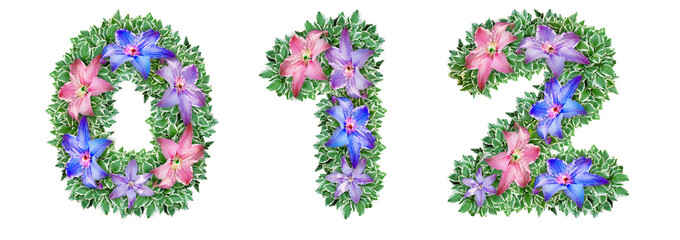 The numbers 0, 1, 2 are made of Clematis colors