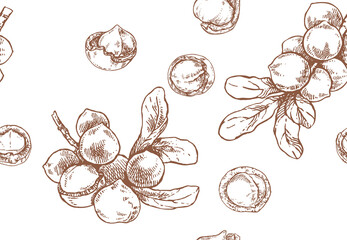 Hand drawn vector macadamia nut core pattern - obrazy, fototapety, plakaty