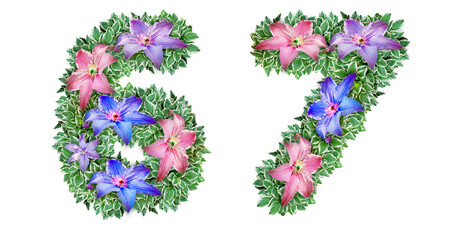 The numbers 6, 7 are made of Clematis colors