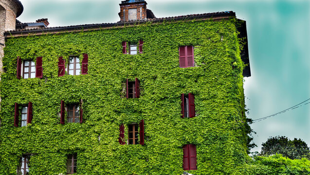 typical green neive house with red shutters overgrown with green ivy