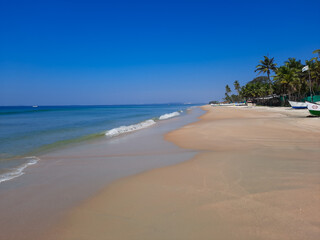 Fototapeta na wymiar Goa beach. Tropical beach with palm trees and sea, blue water beach with palm trees, balm tree in beach, blue water and blue sky Arabian sea in India, white sand and blue water.